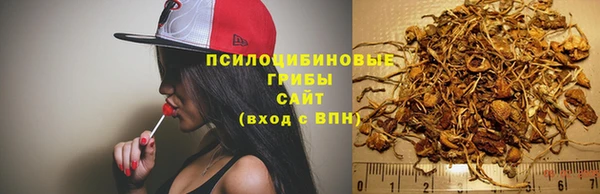 кокаин премиум Козловка